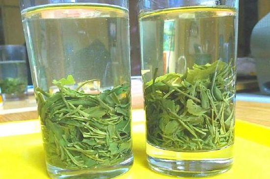 茶葉為什么不能亂送人，買茶葉一次送一盒還是兩盒