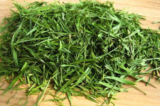 哪類人不適合喝石竹茶，石竹茶的功效與禁忌