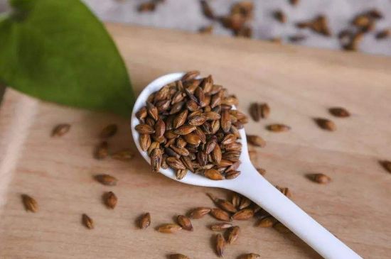 大麥茶上火嗎，喝大麥茶會(huì)不會(huì)上火？