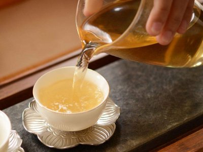 茶葉的專業(yè)知識(shí)，關(guān)于茶的基本知識(shí)大全