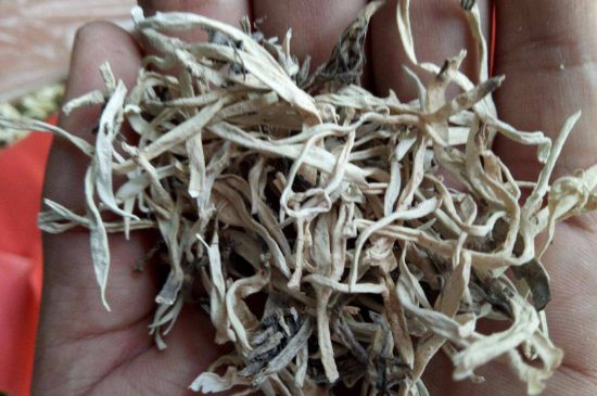 麗江雪茶的禁忌，白雪茶的副作用