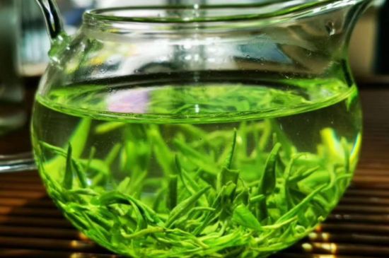 喝黃金茶禁忌，什么人不能喝黃金芽茶？