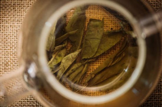 苦丁茶副作用，苦丁可以經(jīng)常喝嗎？