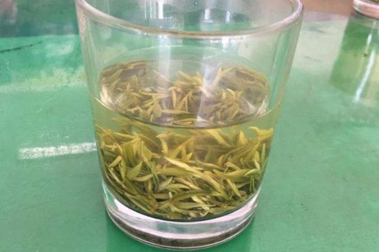 碧螺春正確泡法和飲用，碧螺春茶泡茶方法與溫度