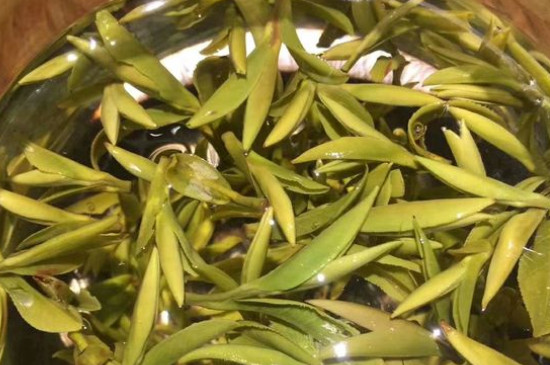 八大茶系都有哪幾種，八大茶系都是什么名字