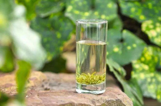 碧螺春沖泡三要素，碧螺春怎么泡才正確？