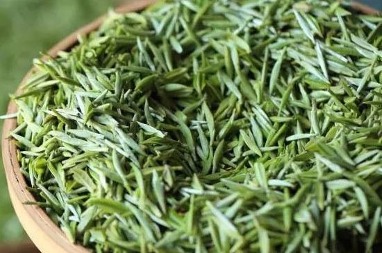 雀舌茶的沖泡方法，怎么沖泡雀舌茶？