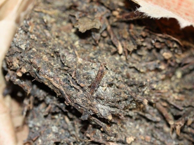 長期飲用黑茶的副作用，黑茶的功效與作用