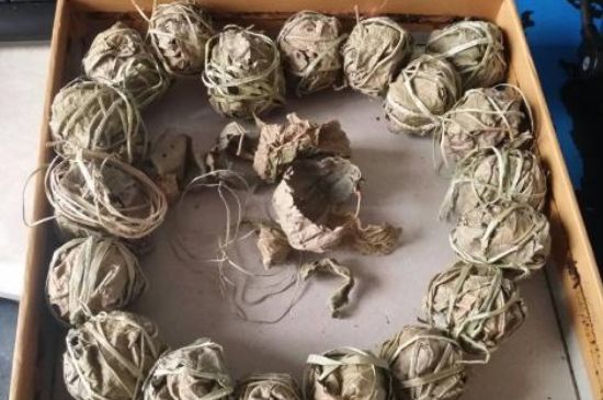 鷓鴣茶用拆開(kāi)泡嗎，鷓鴣茶要解開(kāi)繩子泡嗎