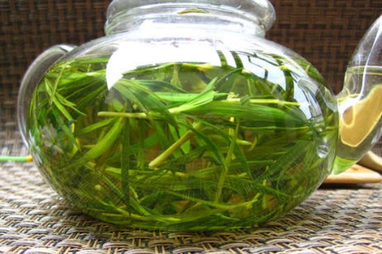 竹葉茶的禁忌，竹葉泡茶的功效禁忌