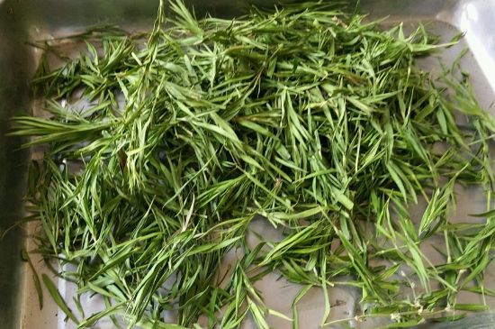 哪類人不適合喝石竹茶，石竹茶的功效與禁忌