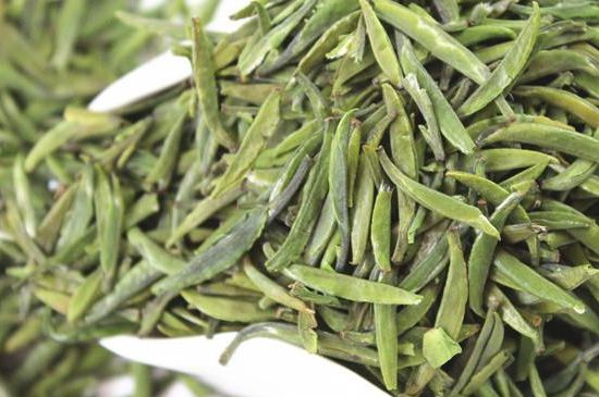 雀舌茶什么人不能喝，雀舌茶的功效與禁忌