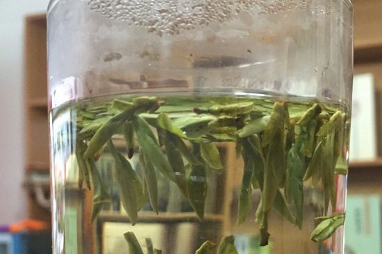 煮茶器能煮龍井嗎，龍井茶能不能用煮茶器圖