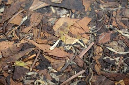 福鼎白茶能長(zhǎng)時(shí)間悶泡嗎，老白茶可以悶著喝嗎？