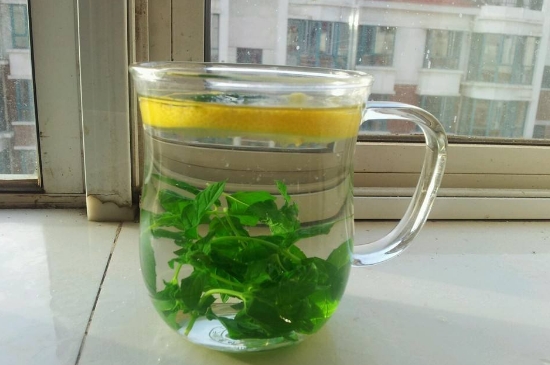薄荷茶的功效與作用，喝薄荷茶有什么好處？