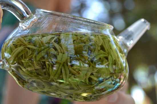 新手學(xué)泡茶的基本常識，從零開始學(xué)泡茶