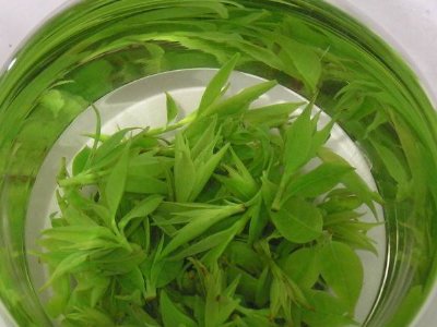 茶葉具有什么功效，茶葉的功效與作用大全