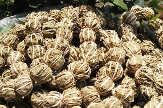 鷓鴣茶的禁忌，海南鷓鴣茶副作用