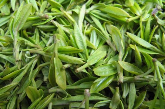 世界最貴的茶葉排行榜，十大最貴的茶