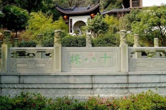 世界最貴的茶葉排行榜，十大最貴的茶