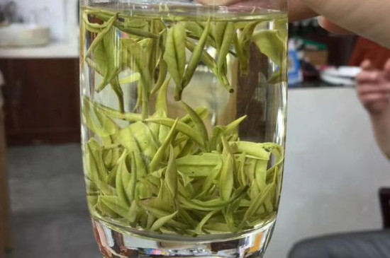 茶葉過期5年了但沒開封，茶葉放久了能喝嗎