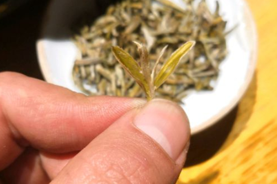 六大茶類哪種適合長期存放，日常如何保存方法一覽？