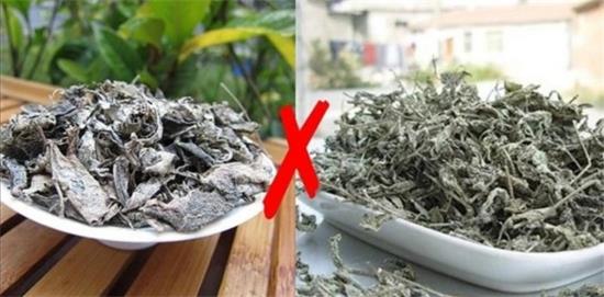 張家界茅巖莓茶與藤茶是同一種茶嗎，藤茶跟莓茶一不一樣？