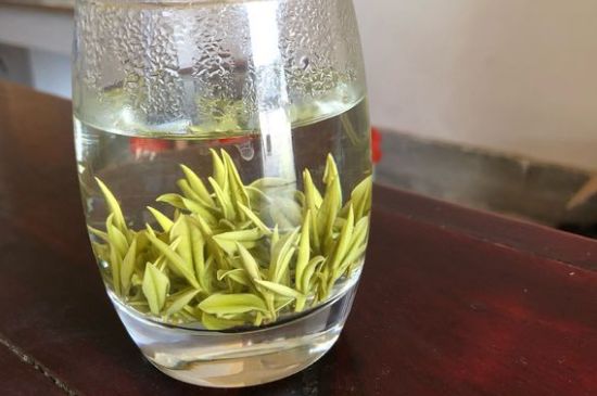 安吉白茶耐寒嗎，白茶適合放冰箱嗎