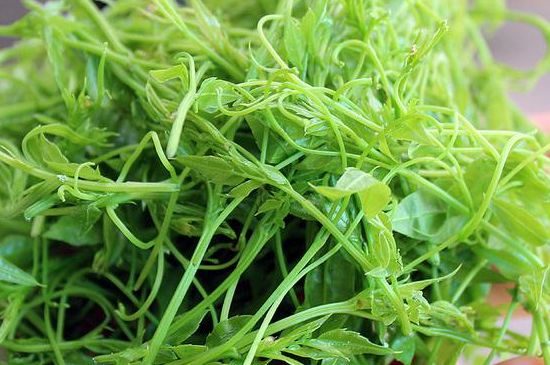 茅巖莓茶別名是什么，莓茶別名叫藤茶嗎？