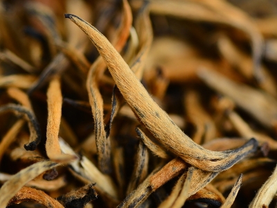 怎么知道什么茶葉適合自己，怎么判斷自己適合喝什么茶？