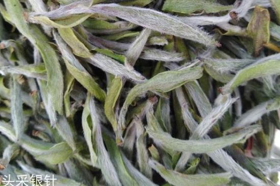 春茶季怎么辨別白毫銀針的好壞，好的白毫銀針如何選購？