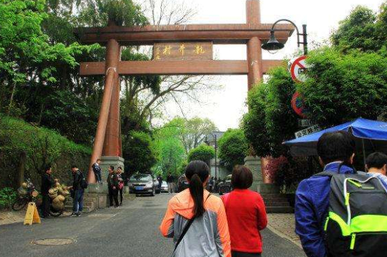 杭州買龍井茶攻略，怎么買到正宗的西湖龍井？