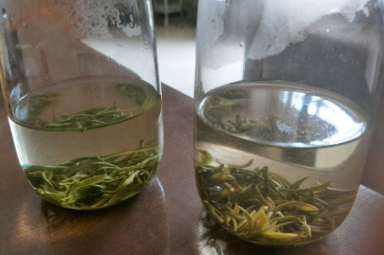 真假碧螺春泡水后區(qū)別，蘇州洞庭碧螺春怎樣鑒別好壞？
