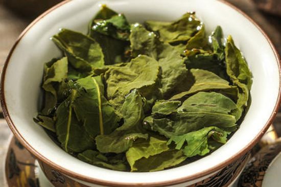 陳茶還是新茶好，茶葉是新茶好喝還是陳茶好喝