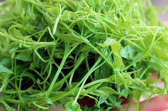 茅巖莓茶保質(zhì)期有多久，張家界莓茶存放時間長了還能喝嗎？