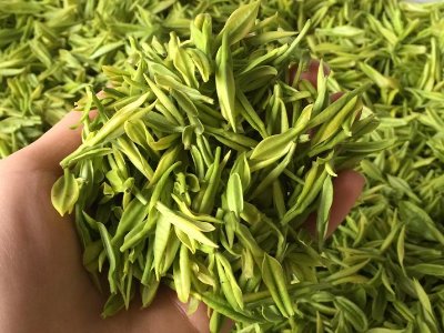 白茶品質(zhì)如何區(qū)分，白茶的優(yōu)劣質(zhì)量辨別方法