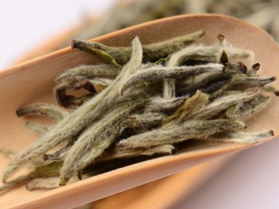 白毫銀針放幾年最好，白毫銀針什么年份最好？