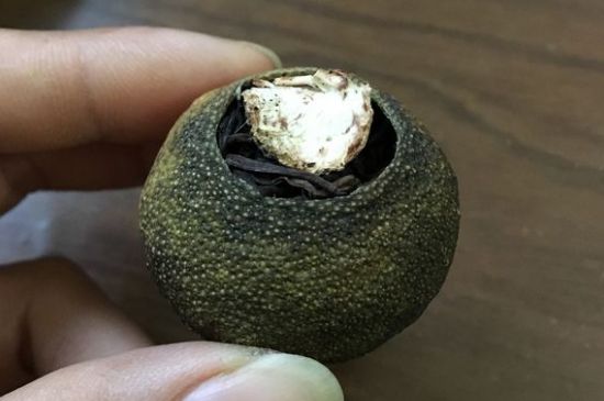 怎么知道小青柑是真的假的圖片，如何區(qū)分真假新會(huì)小青柑