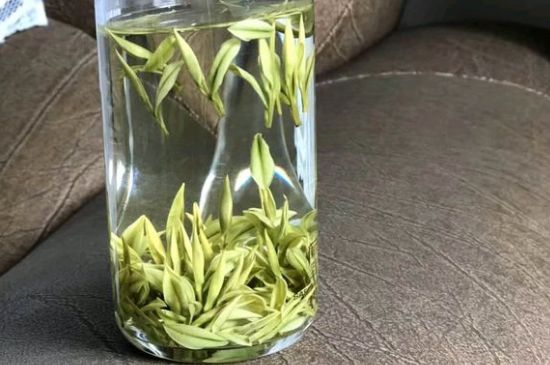 安吉白茶夏天怎么保存，安吉白茶能冷凍儲(chǔ)存嗎？