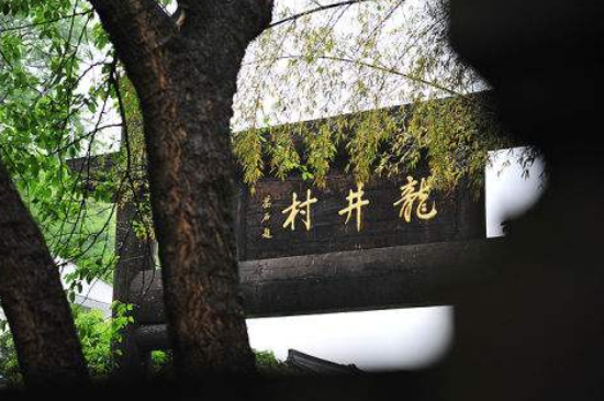 杭州買龍井茶攻略，怎么買到正宗的西湖龍井？