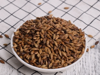 圓形顆粒狀茶是什么茶，像飼料一樣一粒粒的是什么茶？