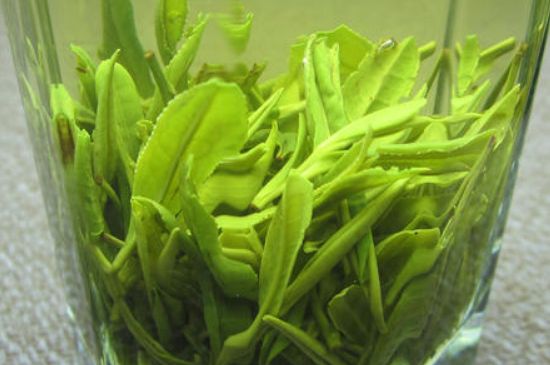 哪種茶葉可以放冰箱，哪些茶不能放冰箱？