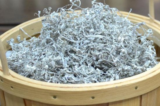 張家界莓茶真假對比，野生莓茶的鑒別方法