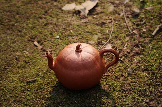 紫砂壺泡什么茶最佳，紫砂壺一般泡什么茶？