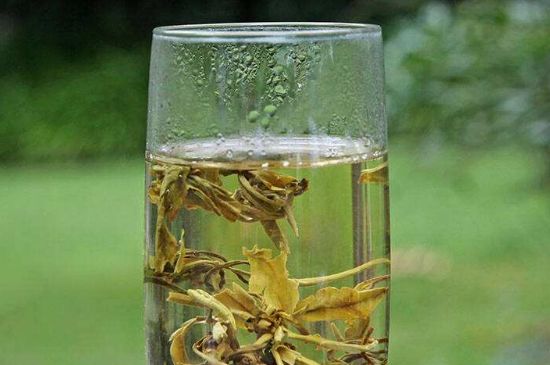 茉莉龍珠什么人不能喝，茉莉龍珠茶什么體質(zhì)不能喝？