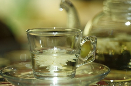 菊花茶天天喝行嗎，每天喝菊花泡茶喝好嗎？