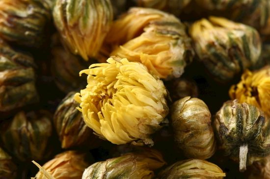 蒲公英搭配大全，蒲公英泡水喝的8種搭配