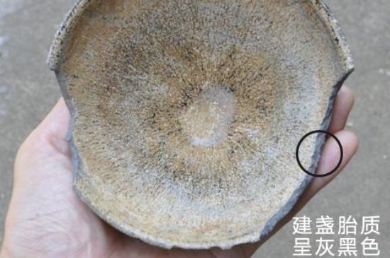 假建盞的特點(diǎn)，真假建盞區(qū)分帶圖