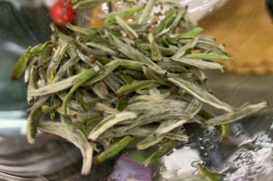 蒸汽煮茶器適合什么茶，蒸汽煮茶器適合用綠茶嗎？
