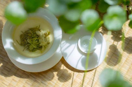 茉莉花茶6種人不要喝，什么體質(zhì)不適合喝茉莉花茶？